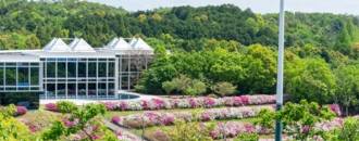 KEDGE Business School Expands International Reach with Dual Degree at Nagoya University of Commerce and Business